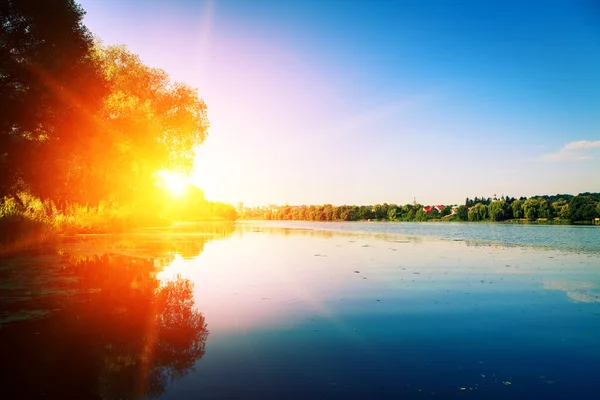 Foresta pittoresca e il fiume — Foto Stock