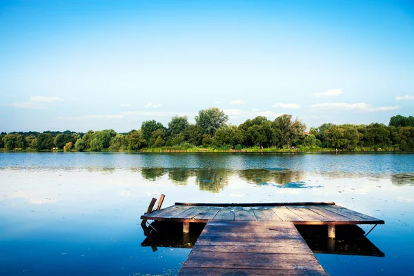 Foresta pittoresca e il fiume — Foto Stock