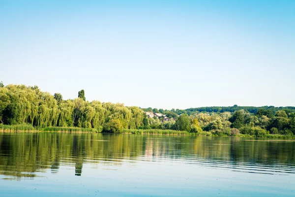 Forêt pittoresque et la rivière — Photo