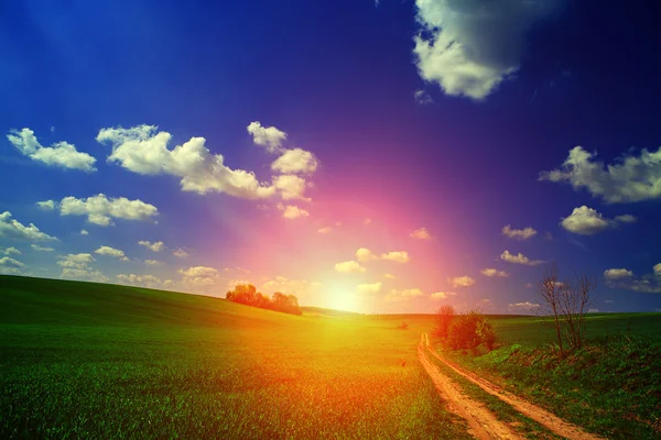 Campo verde e belo pôr do sol — Fotografia de Stock