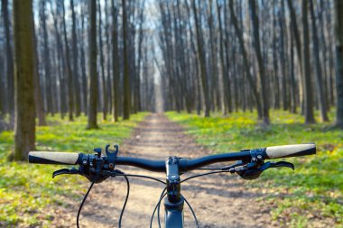 Dağ bisikleti hızlı bisiklet üzerinde azalan tepeden aşağı. Üzerinden görüntülemek