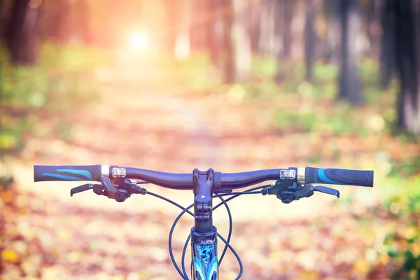 Mit dem Mountainbike den Berg hinunter, schnell mit dem Fahrrad. Blick aus Biker-Augen. — Stockfoto