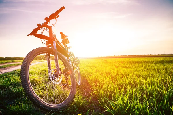 Mountainbiken — Stockfoto