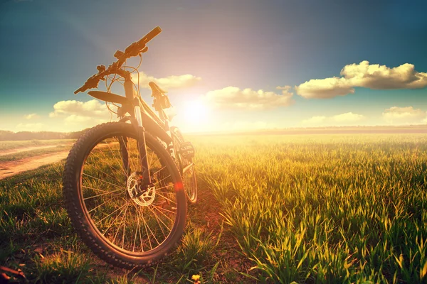 Mountainbiken — Stockfoto