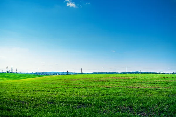 Grönt fält — Stockfoto