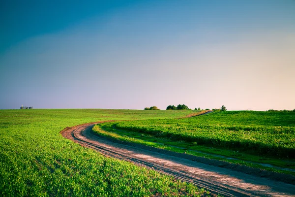 Green Field — Stock Photo, Image