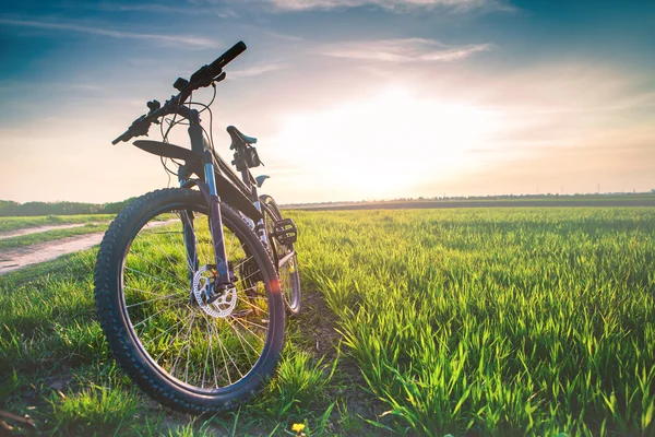 Mountain bike para baixo — Fotografia de Stock