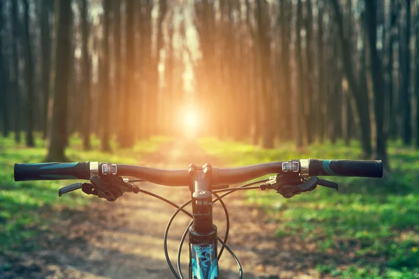 Mountainbiken omlaag — Stockfoto