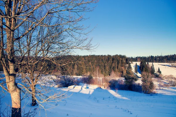 Invierno — Foto de Stock