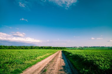 Yeşil Alan ve Güzel Gün Batımı