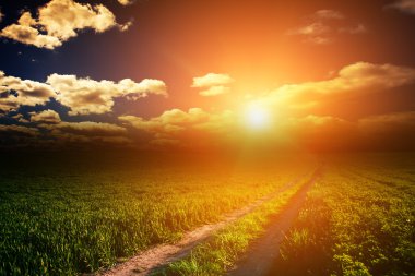 Yeşil Alan ve Güzel Gün Batımı