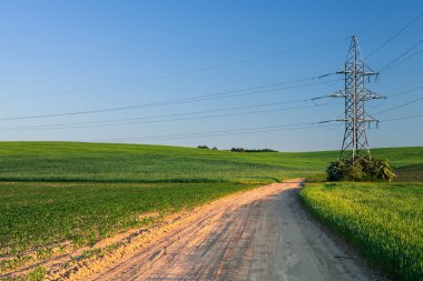 Yeşil Alan ve Güzel Gün Batımı