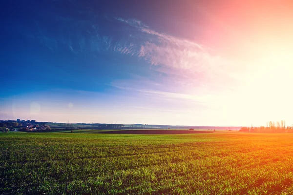 Green Field and Beautiful Sunset — Stock Photo, Image