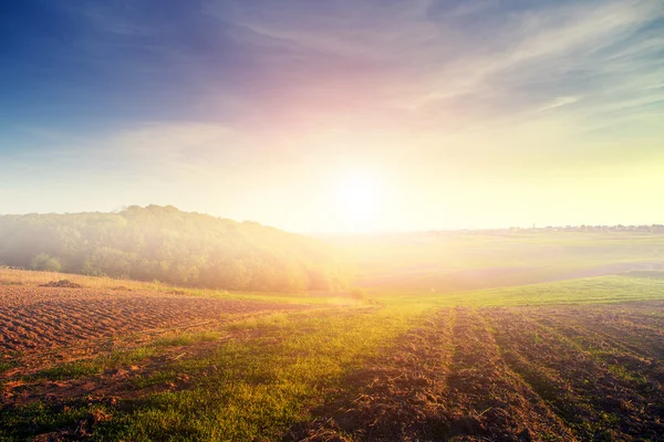 Campo verde e belo pôr do sol — Fotografia de Stock