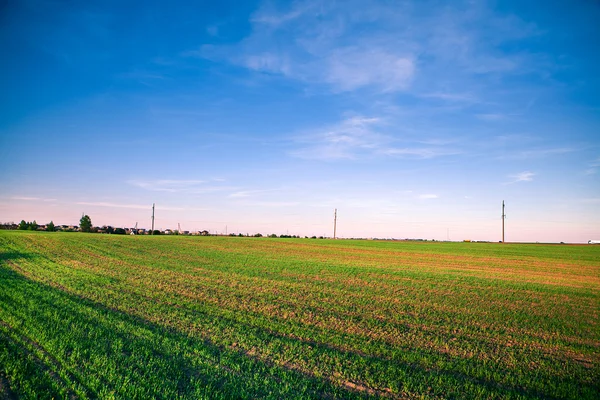 Green Field and Beautiful Sunset — Stock Photo, Image