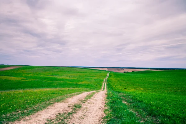 Grønn mark og blå himmel – stockfoto