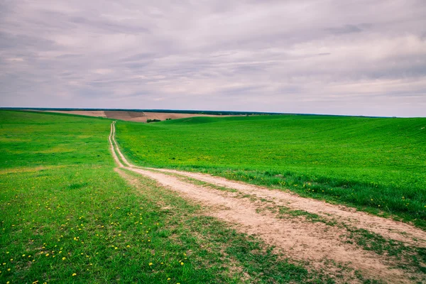 Grønn mark og blå himmel – stockfoto