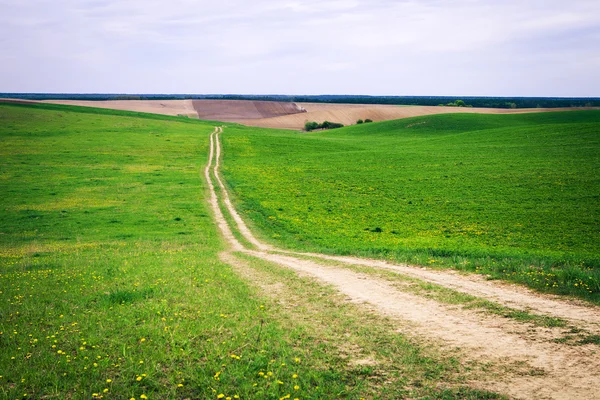 Green Field and Beautiful Sunset — Stock Photo, Image