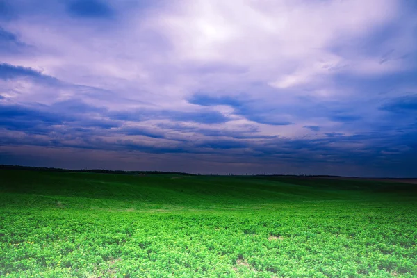 Campo verde e belo pôr do sol — Fotografia de Stock