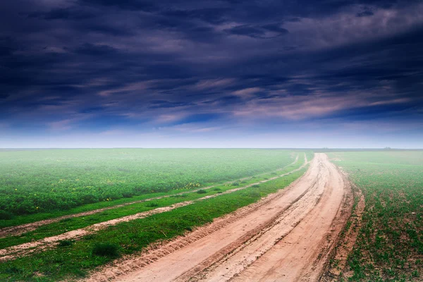 Campo verde e belo pôr do sol — Fotografia de Stock