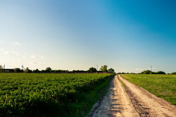 Campo verde e belo pôr do sol — Fotografia de Stock