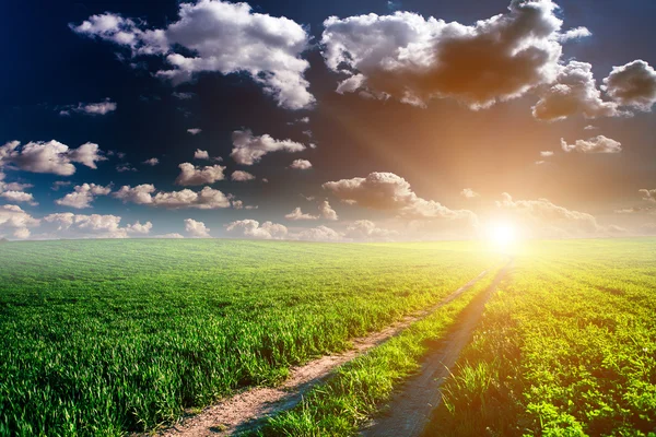 Campo verde e belo pôr do sol — Fotografia de Stock