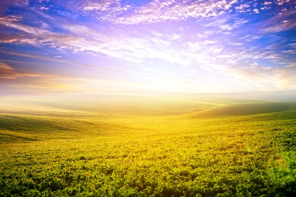 Green Field and Beautiful Sunset — Stock Photo, Image