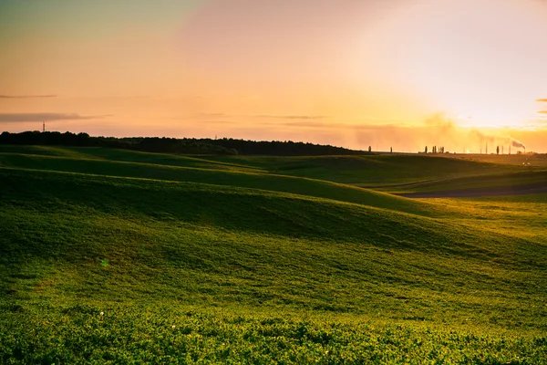 Zelené pole a krásný západ slunce — Stock fotografie