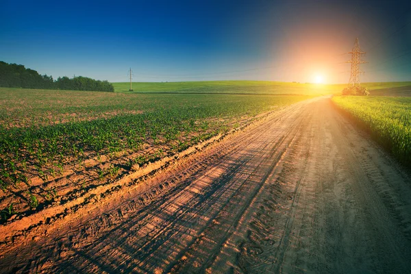 Champ vert et beau coucher de soleil — Photo