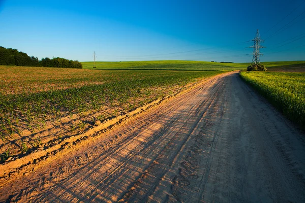 Campo verde y hermoso atardecer —  Fotos de Stock