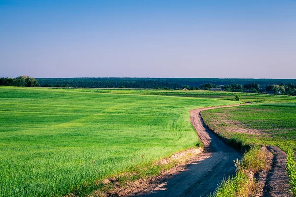 Campo verde e belo pôr do sol — Fotografia de Stock