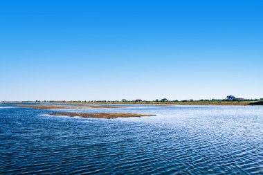 Resimli orman ve nehir.