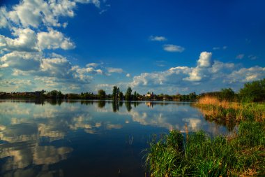 Resimli orman ve nehir.