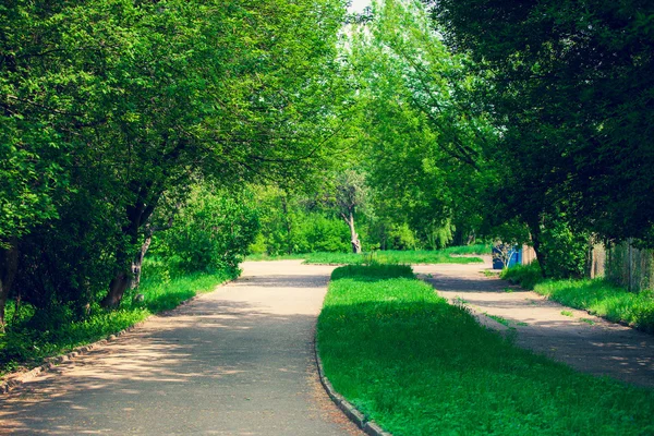 Beautiful avenue in to the park — Stock Photo, Image