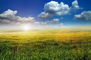 Yeşil Alan ve Güzel Gün Batımı