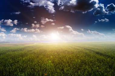 Yeşil Alan ve Güzel Gün Batımı