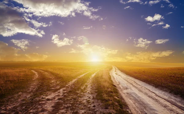 Wheat field — Stock Photo, Image