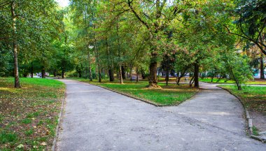 Park içinde güzel Caddesi