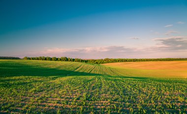 Yeşil Alan ve Güzel Gün Batımı