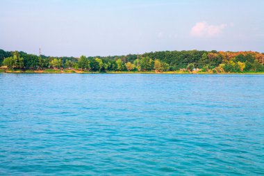 Resimli orman ve nehir.