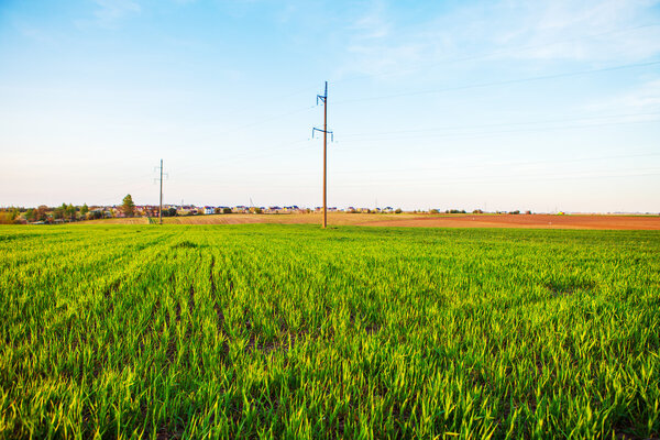 Green Field and Beautiful Sunset