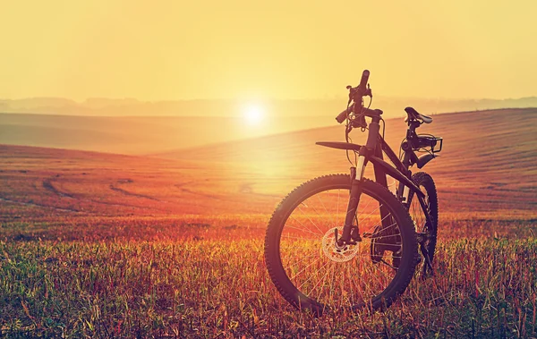Mountain biking down hill descending fast on bicycle. View from — Stock Photo, Image