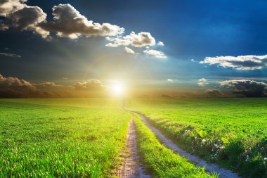 Yeşil Alan ve Güzel Gün Batımı