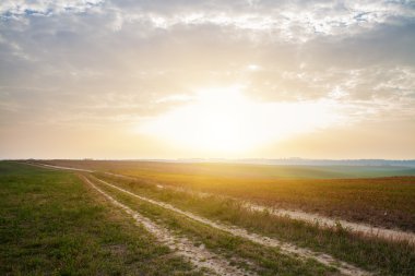 Yeşil Alan ve Güzel Gün Batımı