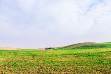 Yeşil Alan ve Güzel Gün Batımı