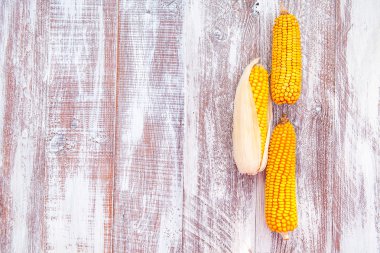 ahşap arka plan üzerinde izole Mısır