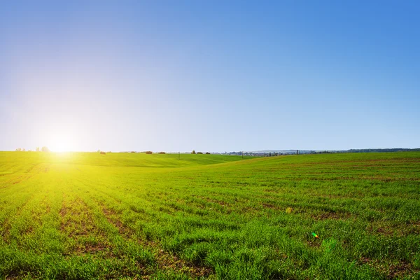 Green Field and Beautiful Sunset — Stock Photo, Image