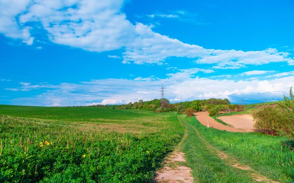 Green Field and Beautiful Sunset — Stock Photo, Image