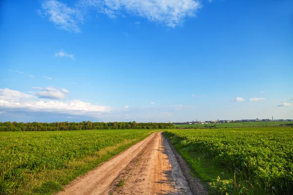 Campo verde e belo pôr do sol — Fotografia de Stock