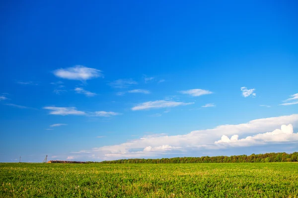 Grüne Wiese und schöner Sonnenuntergang — Stockfoto